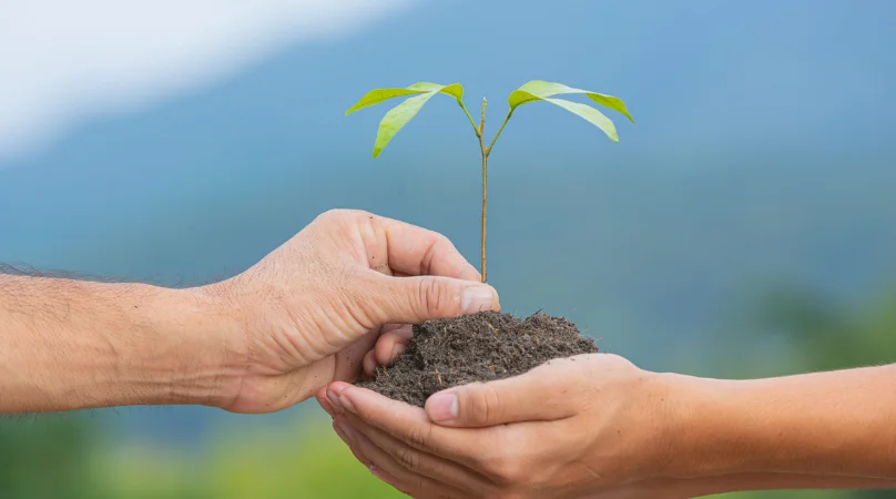 Ecologia Profunda – vamos construir um mundo de paz