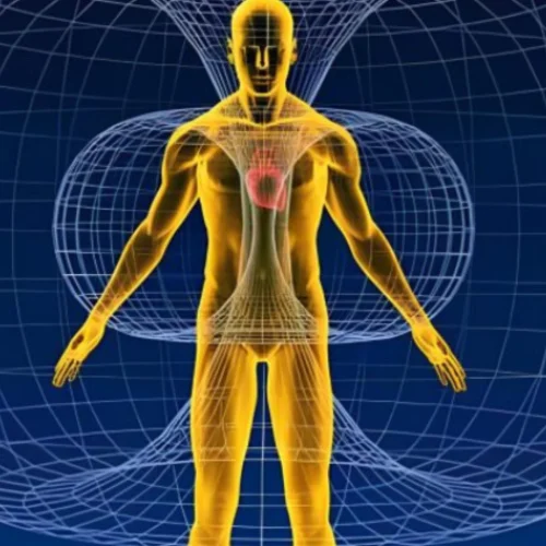 O despertar da consciência e a psicologia transpessoal​